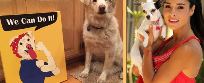 Sketch Pup! custom pet pictures