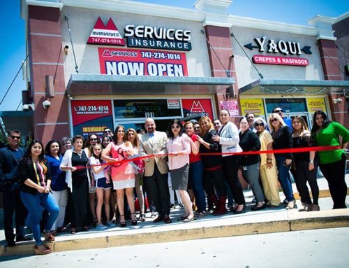 Mariana’s Services Insurance